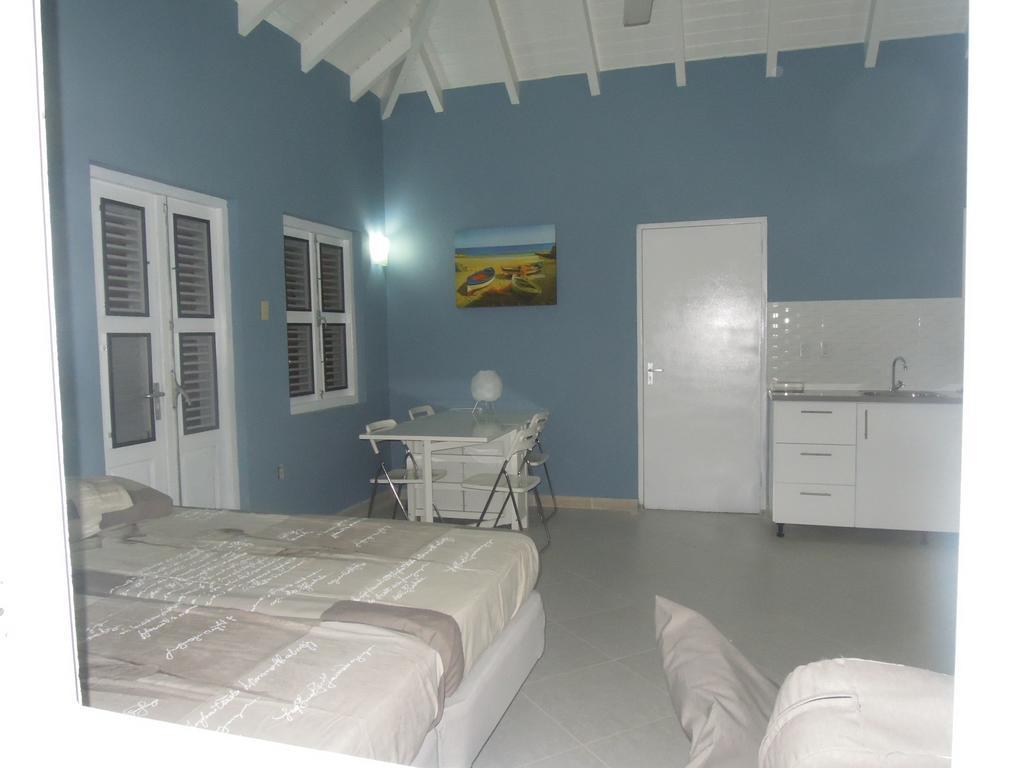 Cattleya Curacao *