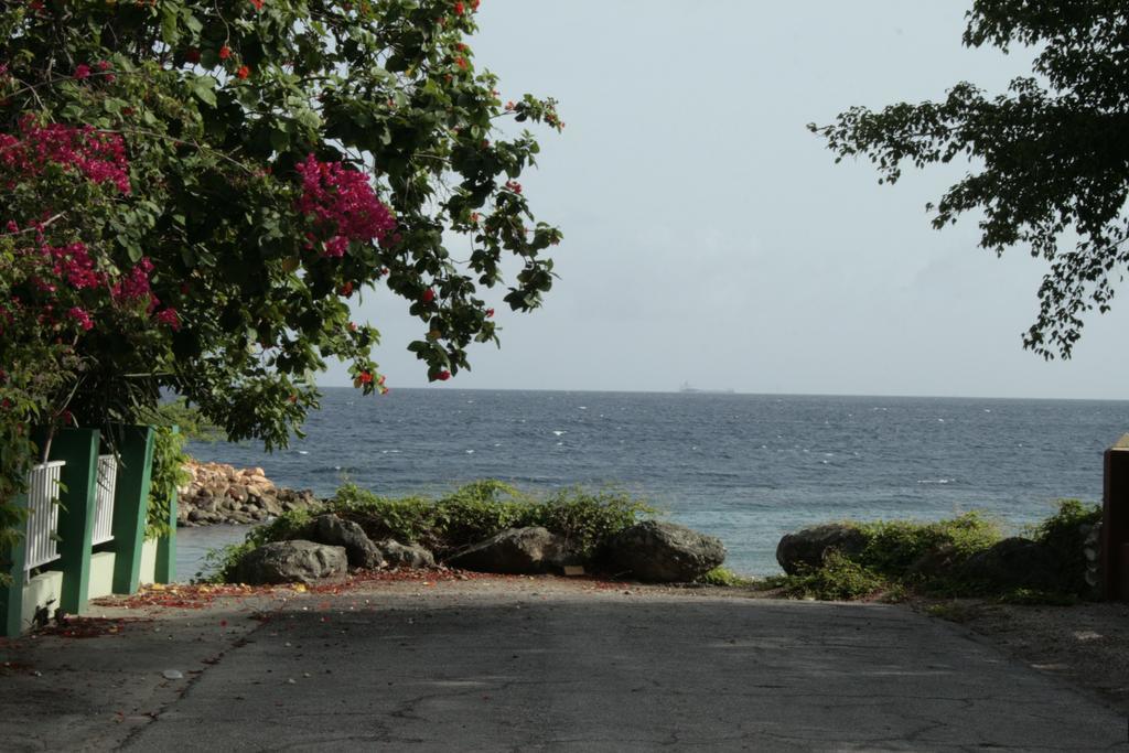 Dorado Divine Oceanview *