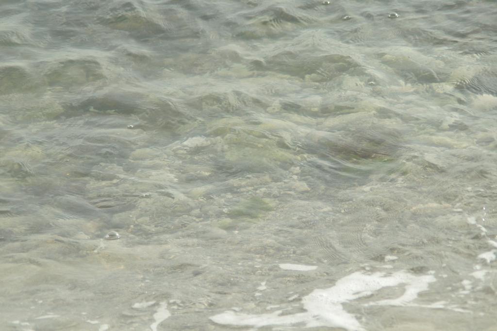 Dorado Divine Oceanview * Willemstad
