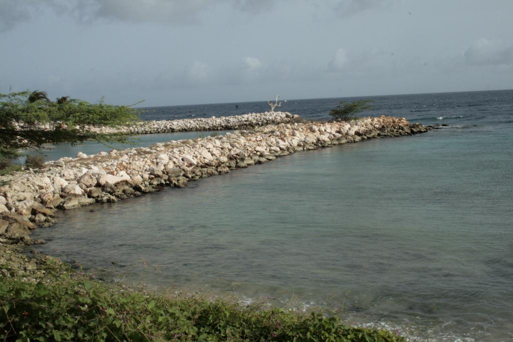 Dorado Divine Oceanview Apartment Willemstad