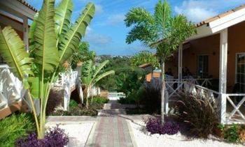 Curinjo Willemstad