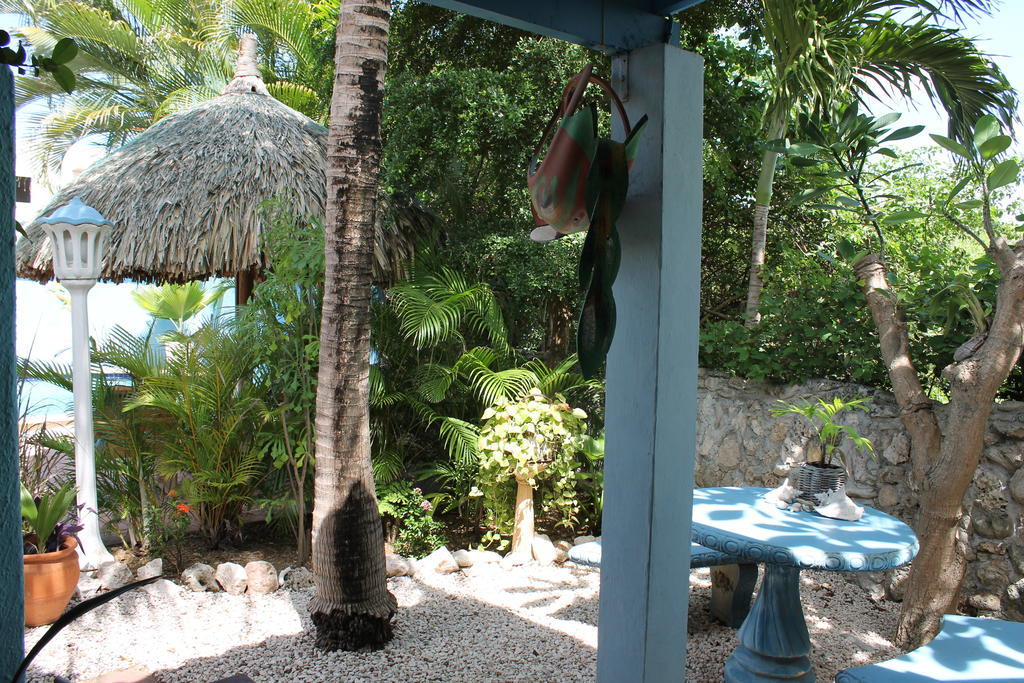 Caribbean Flower