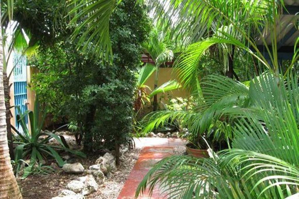 Appartement Caribbean Flower Willemstad