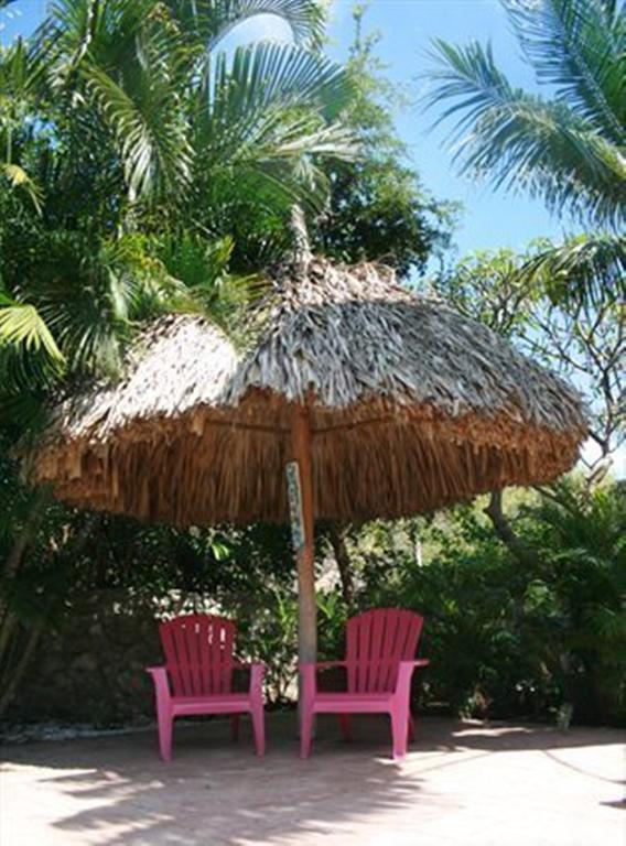 Appartement Caribbean Flower Willemstad