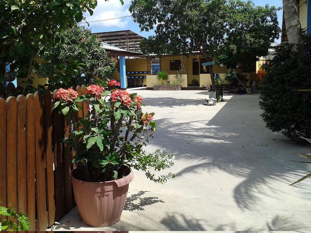 Cecil Paradise Hotel Willemstad
