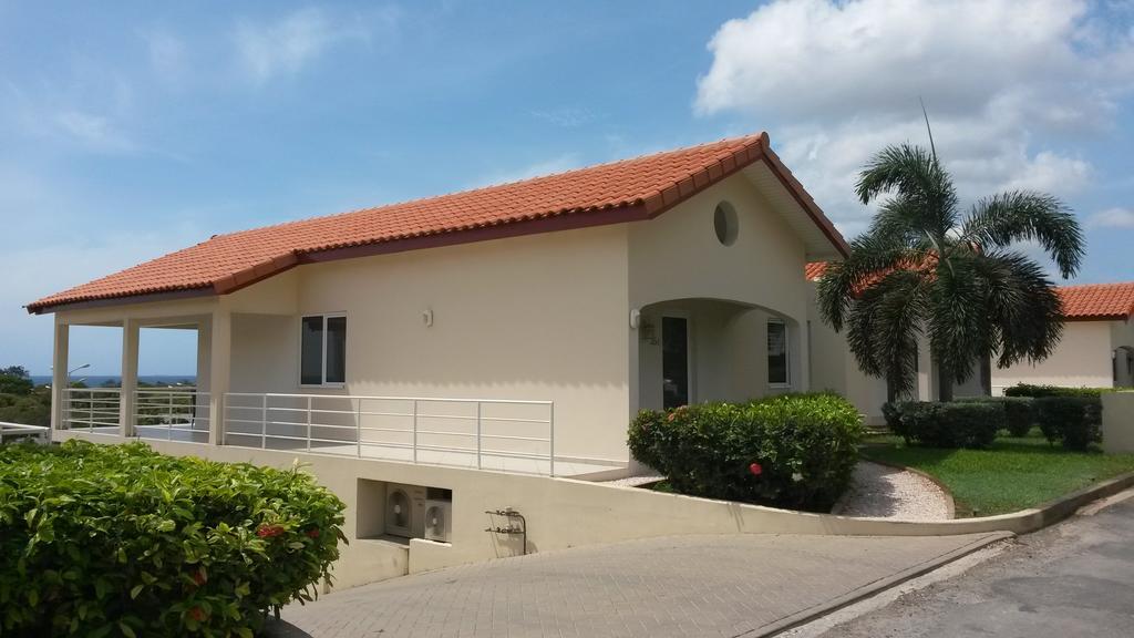 Royal Palm 35 B * Willemstad