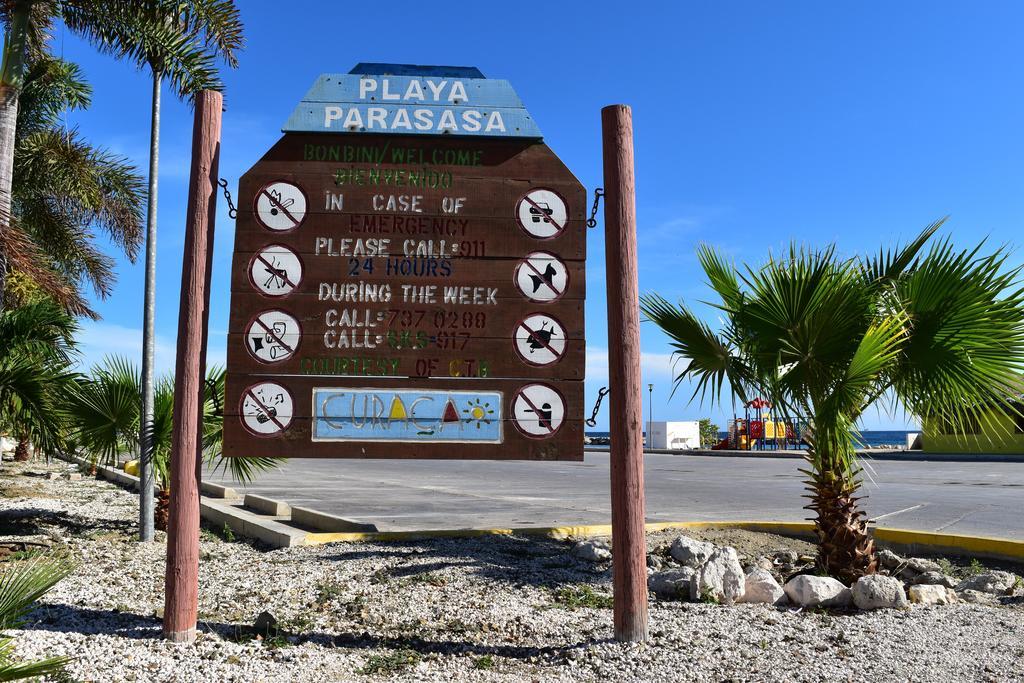 Royal Palm 35 B