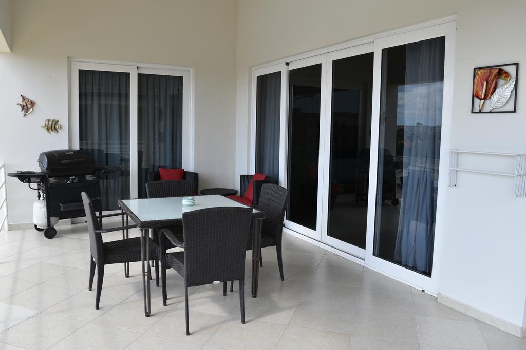 Royal Palm 35 B