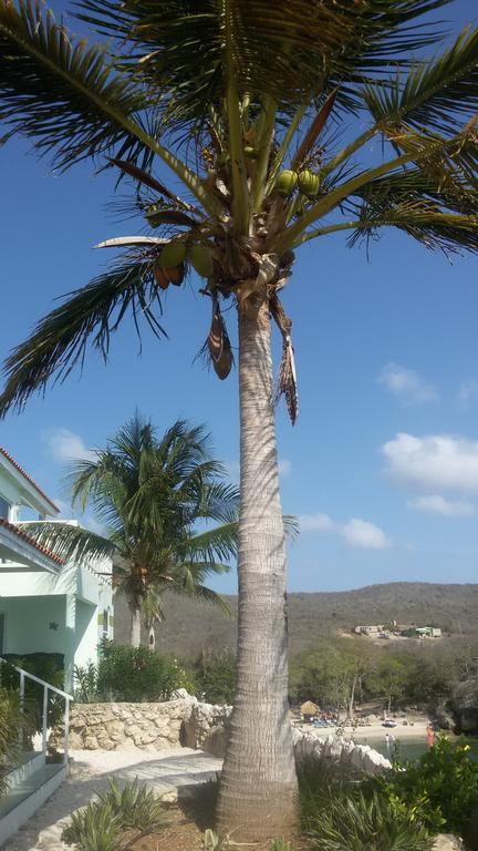 Bon Bini Curacao Apartment