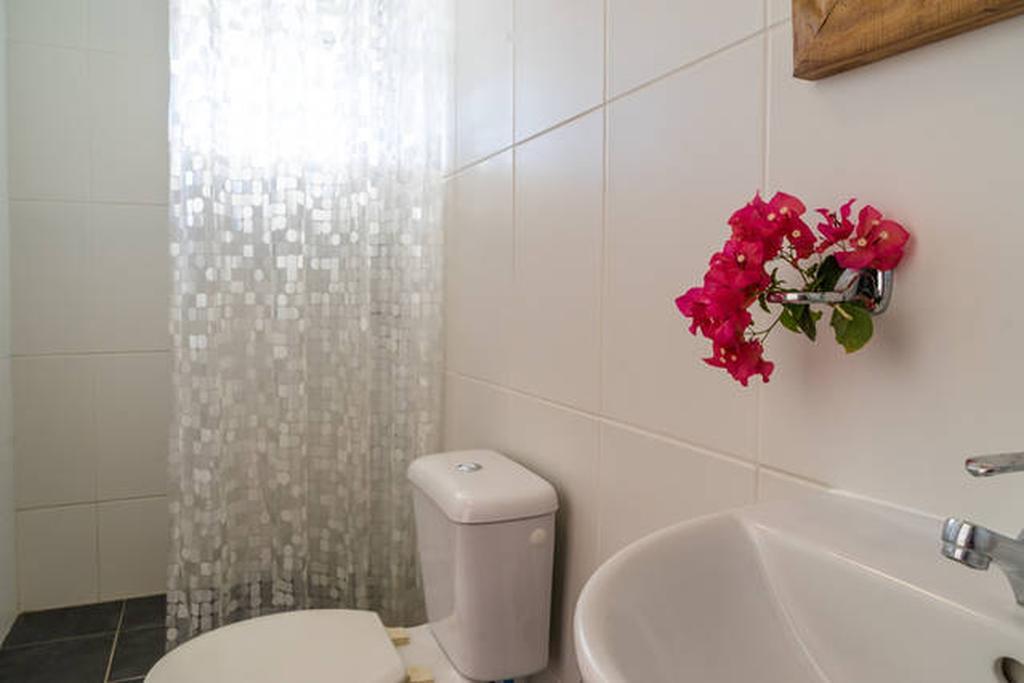 Tropical Breeze Curacao