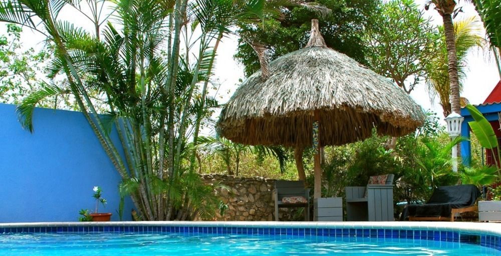 Appartement Caribbean Flower