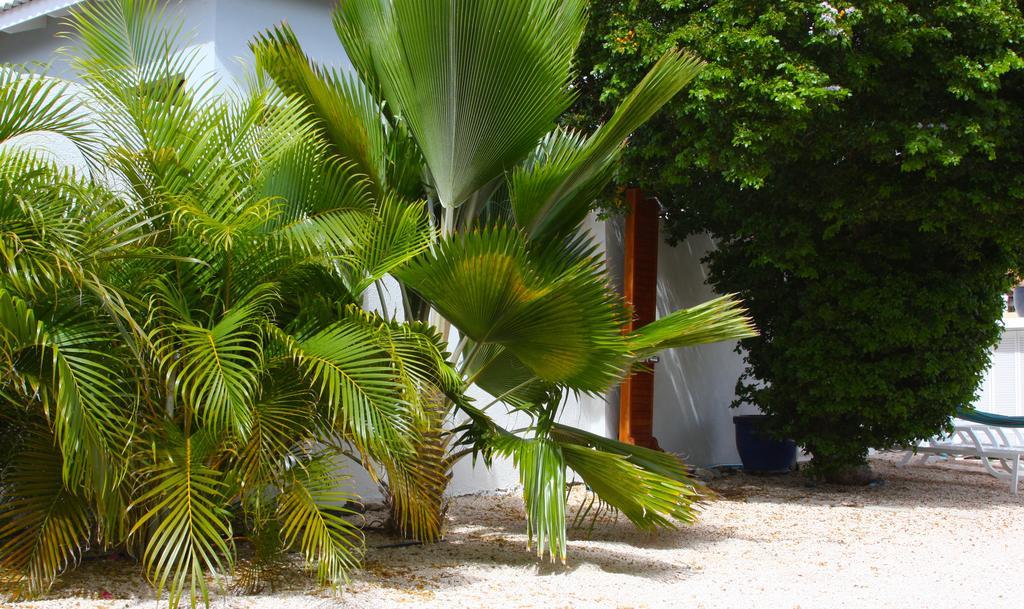 Breeze Curacao Villa