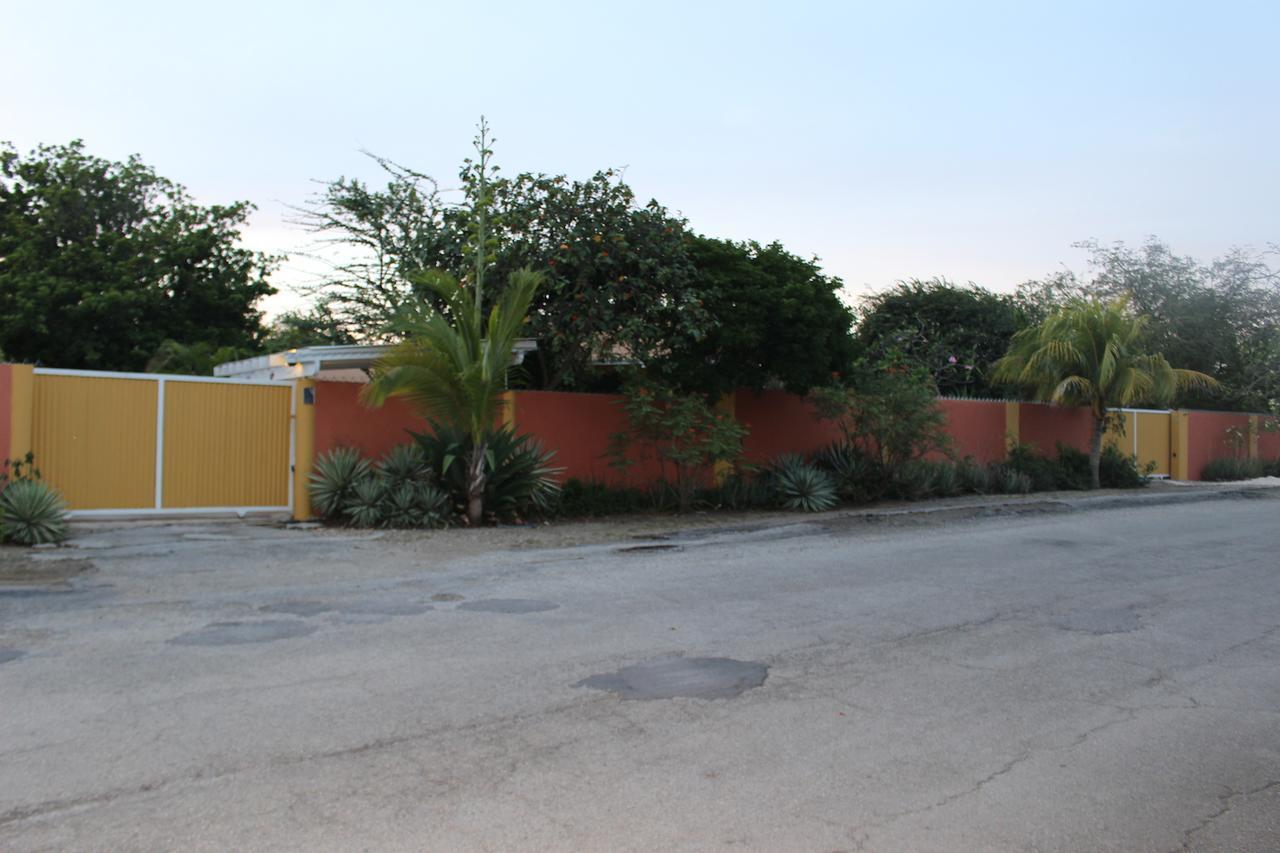 Annidas Sambuya Willemstad