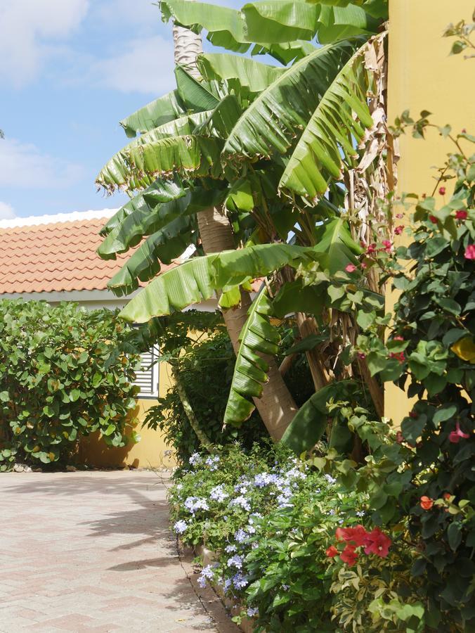 Bona Vista Bed & Breakfast Willemstad