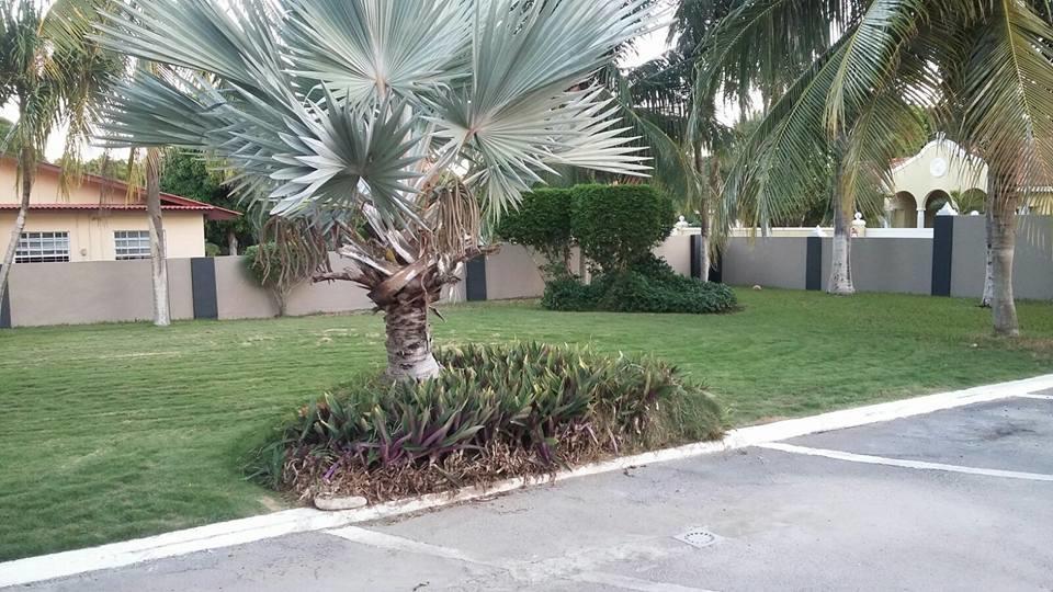 Windmill Apartamento *