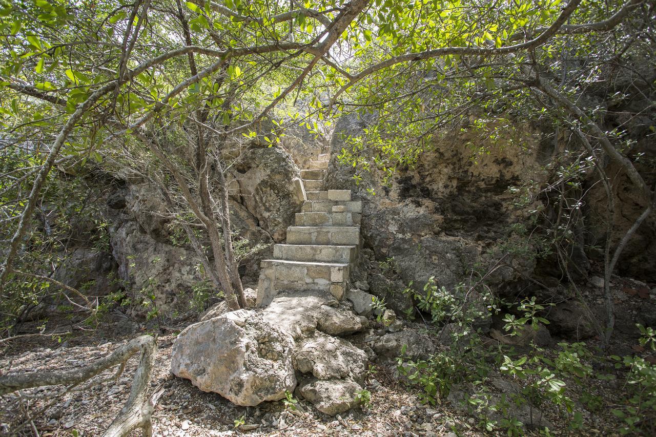 Holiday home Bungalow Cas Abou 21 Willibrordus
