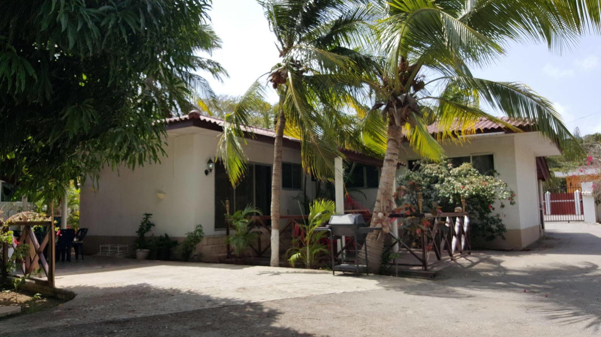 Damacor 3* Willemstad