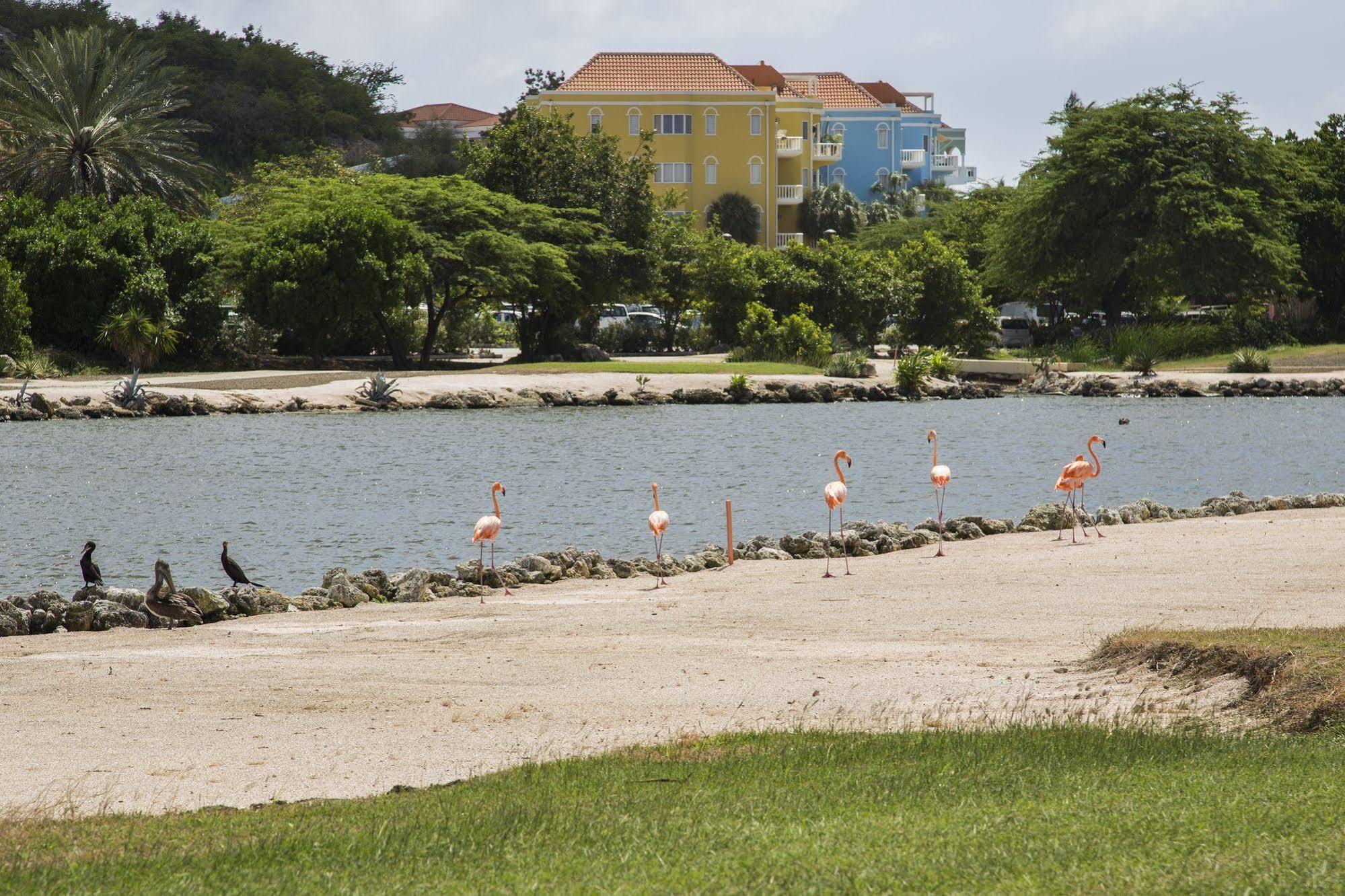 Villa Blue Bay Village 11