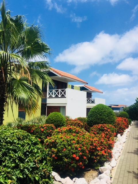 Apartment Boca Gentil Sunrise 9 *