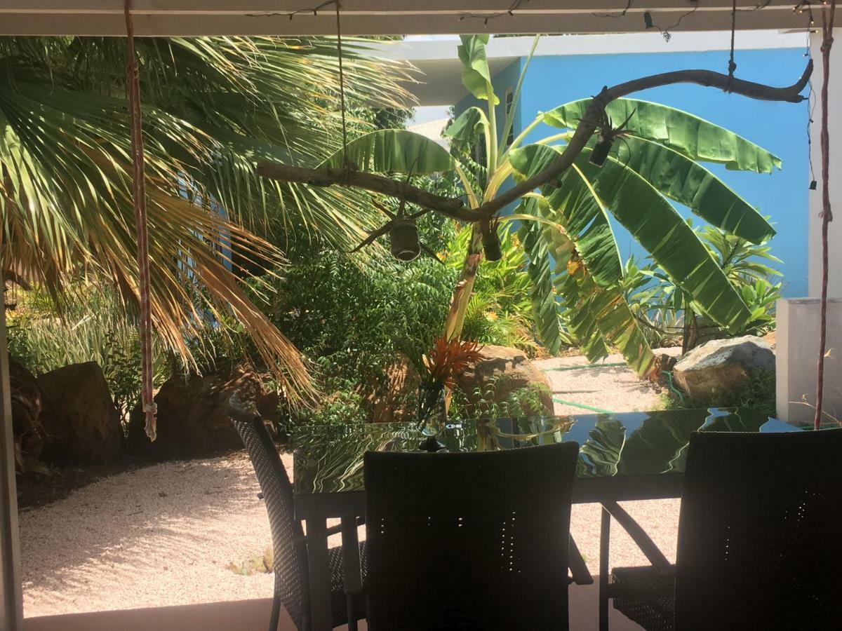 Tropical Breeze Curacao Santa Catharina