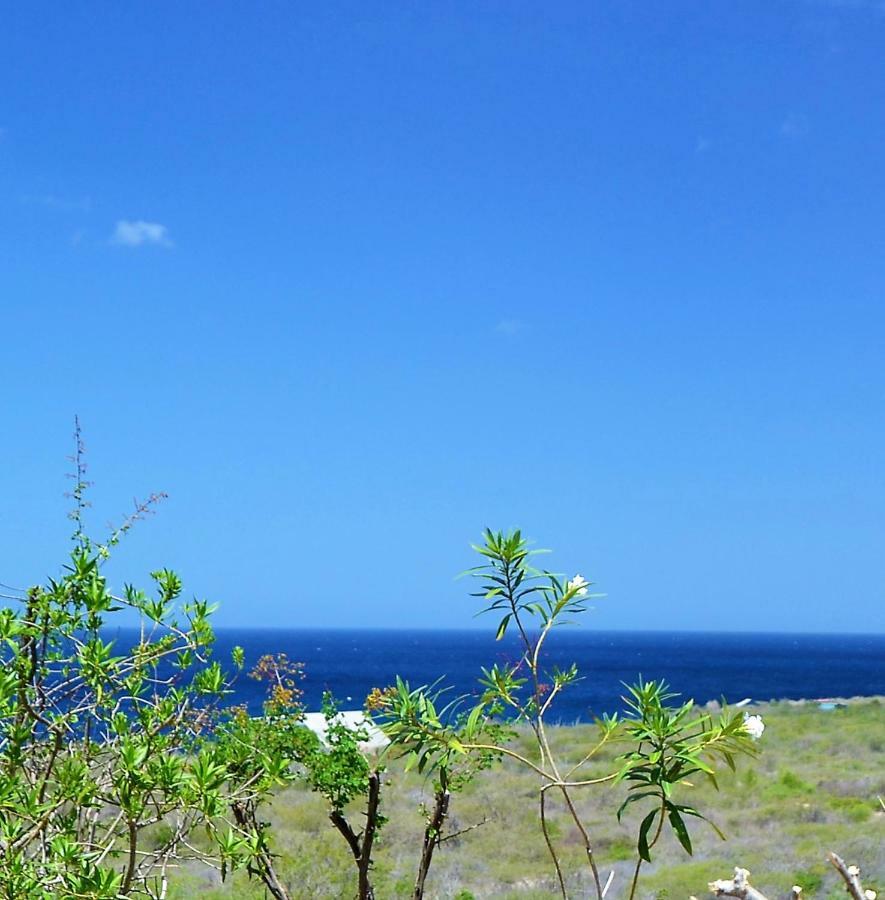 Vip Caribbean Views 300 Meters To The Coral Estate Apartment Willibrordus