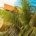 Bohemi Design Villa\'S