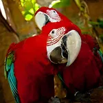 Amazonia Hotel