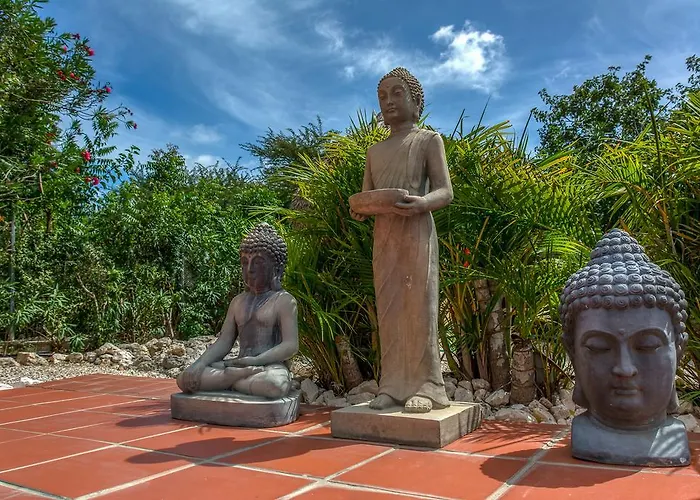Buddha Garden - Adult Only