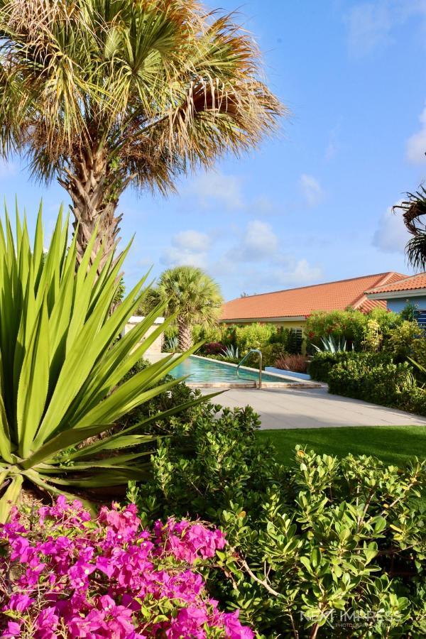 Ultimate Caribbean Experience Apartment Willemstad