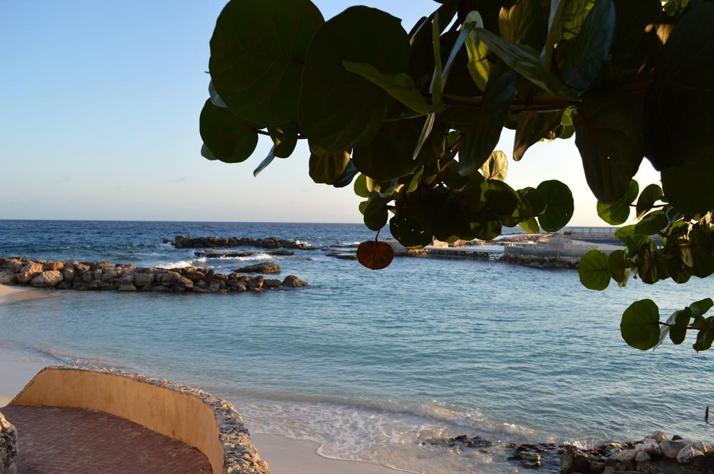 Apartamento Dolphins Jump@curacao Ocean Willemstad
