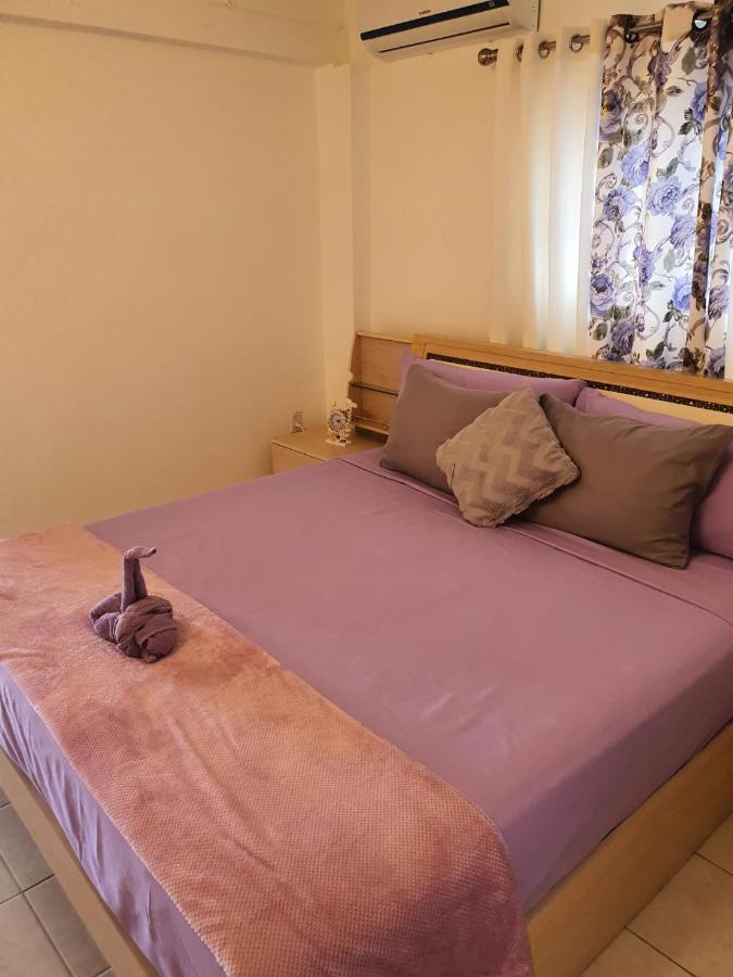 Raven's Paradise Appartement Willemstad