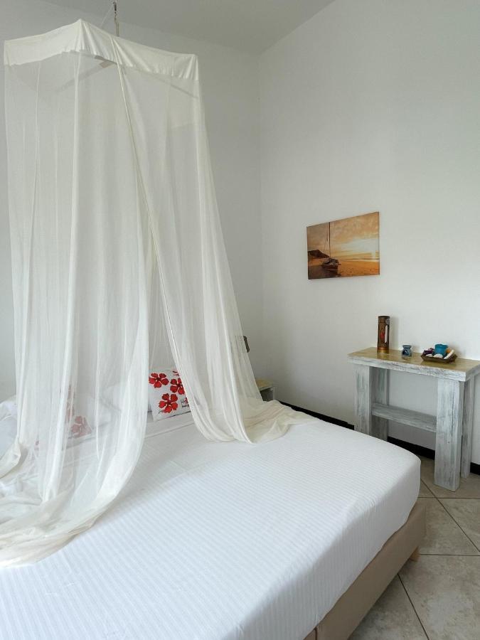 Guest house Hibiscus House