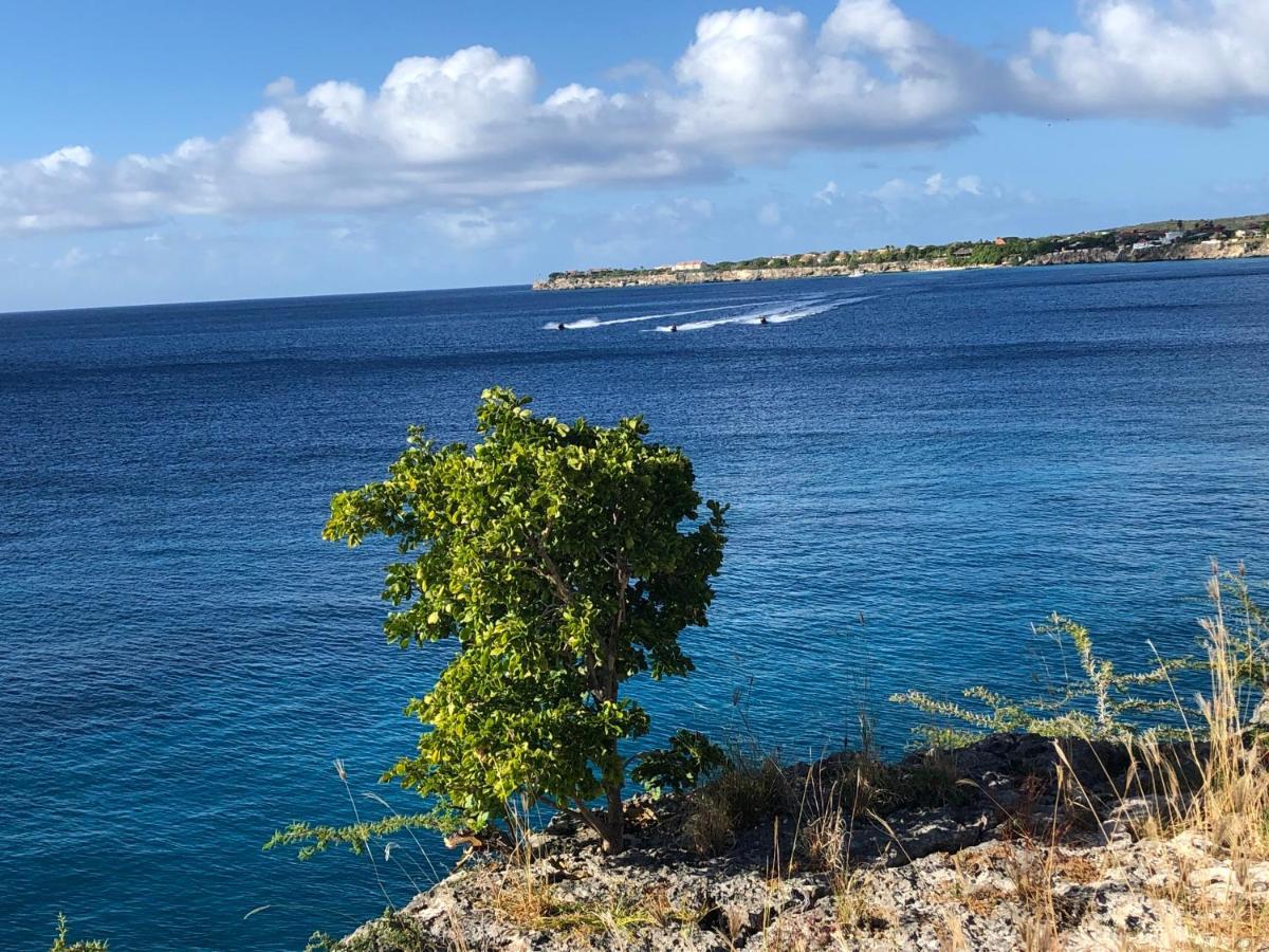 Marazul Dive Resort. 3 Bedroom Seafront House. Dive, Snorkel, Enjoy Amazing Sunsets Holiday home