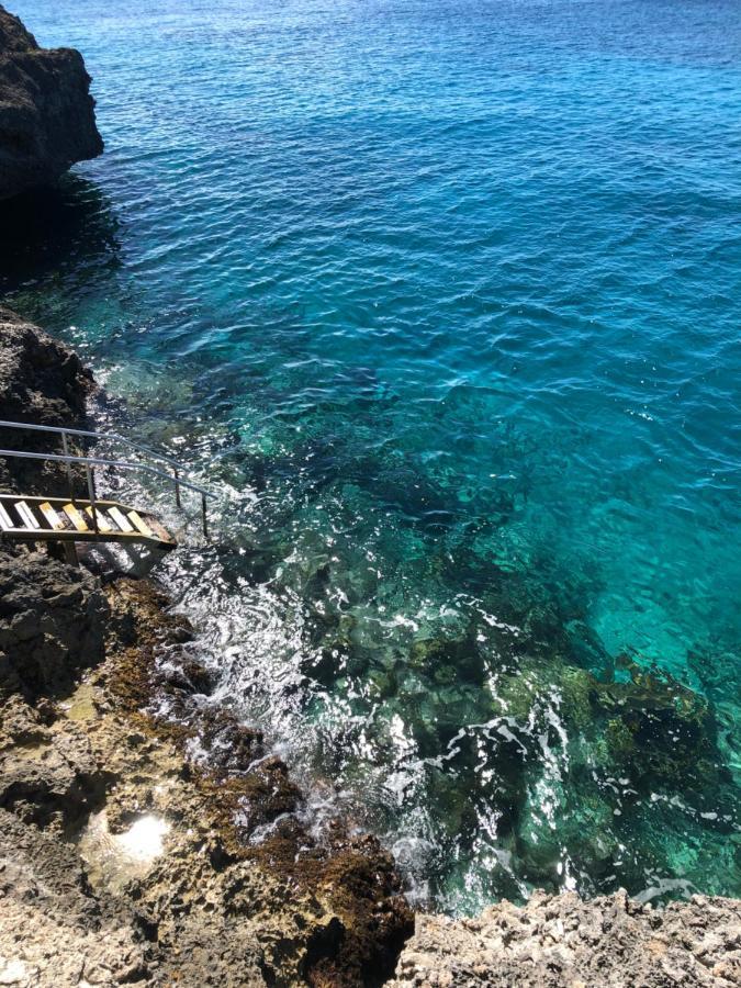 Marazul Dive Resort. 3 Bedroom Seafront House. Dive, Snorkel, Enjoy Amazing Sunsets Westpunt