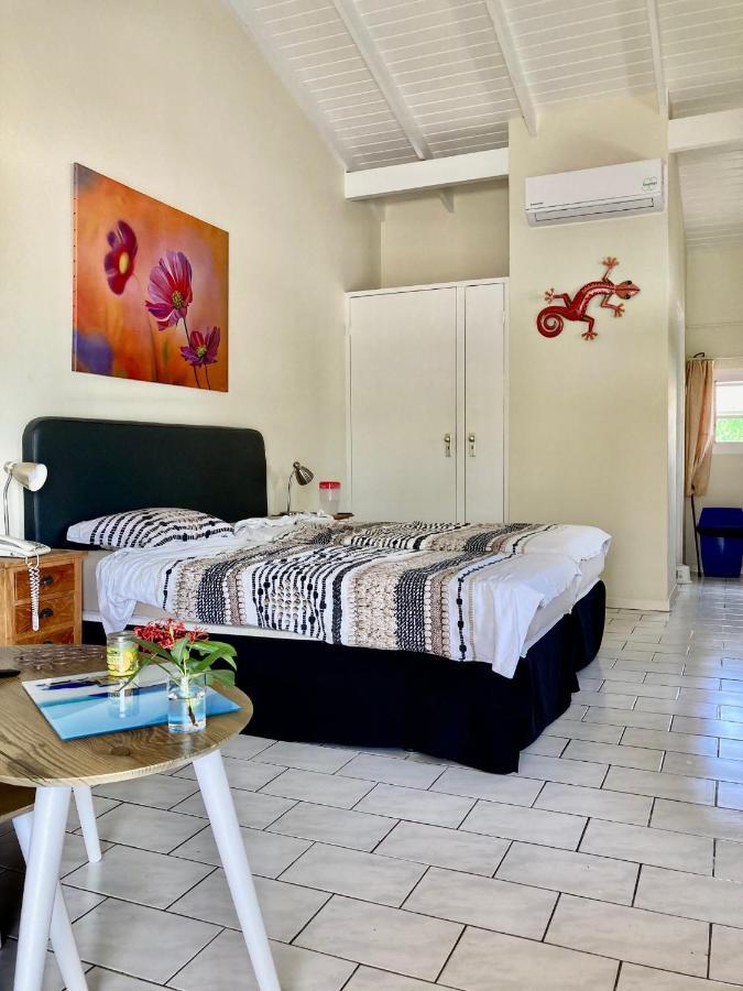 Seru Coral 16 Willemstad