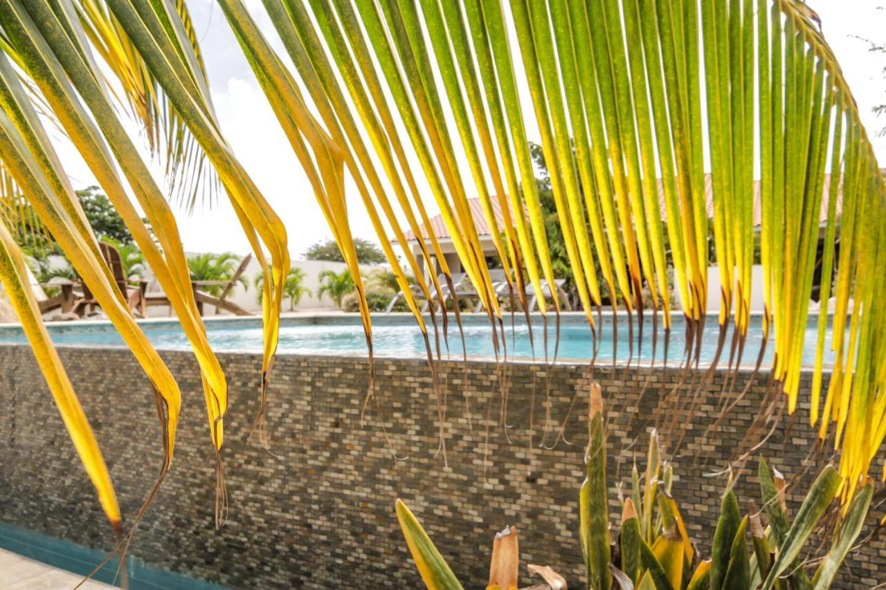 Abc Curacao Lodge