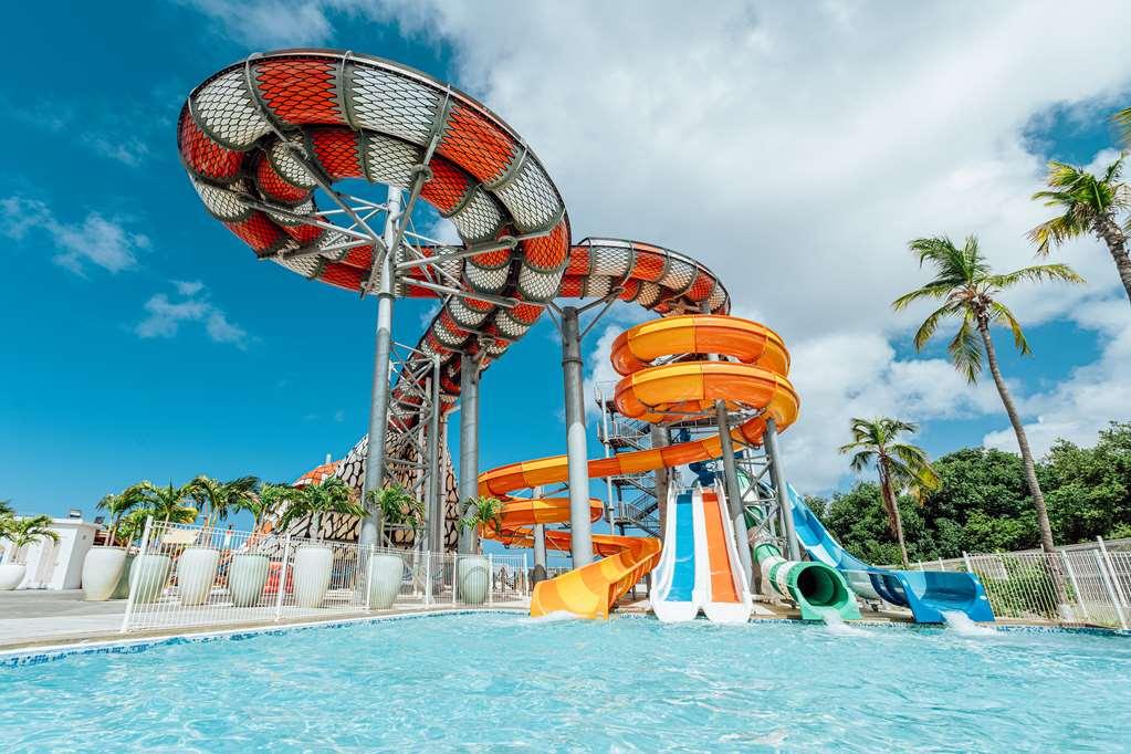 Mangrove Corendon Curacao Resort, Curio By Hilton Willemstad