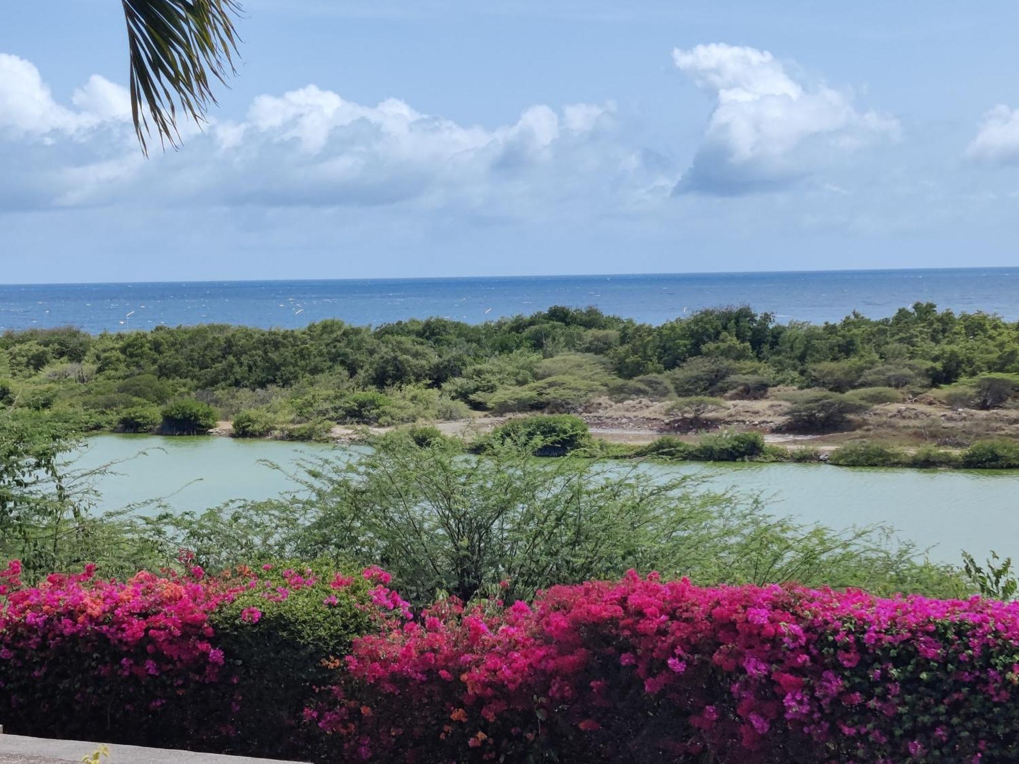 Royal Palm Curacao Geweldig Zeezicht Appartement