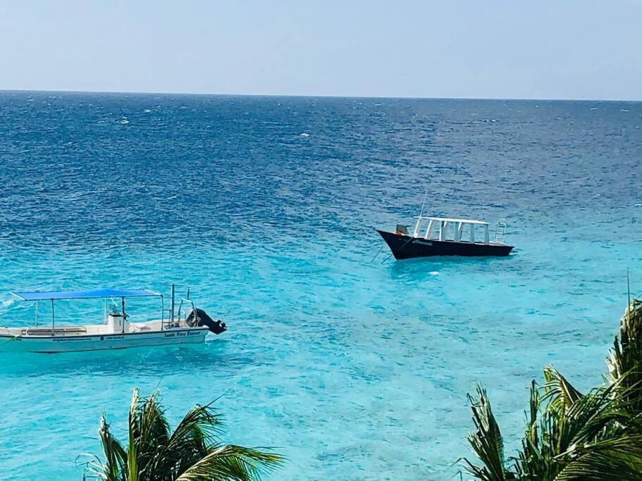 Newvilla-coral Estate-walktobeach-private Pool-up To 16 Guests Seaview Villa *