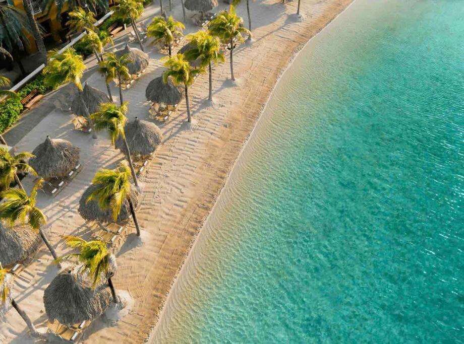 Villa Newvilla-coral Estate-walktobeach-private Pool-up To 16 Guests Seaview Willibrordus