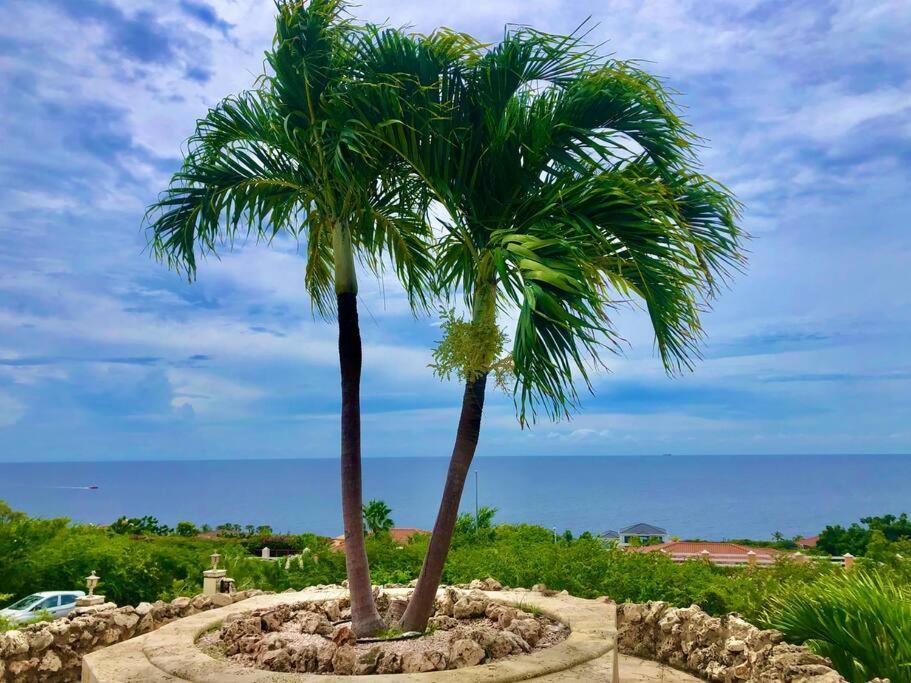 Newvilla-coral Estate-walktobeach-private Pool-up To 16 Guests Seaview * Willibrordus