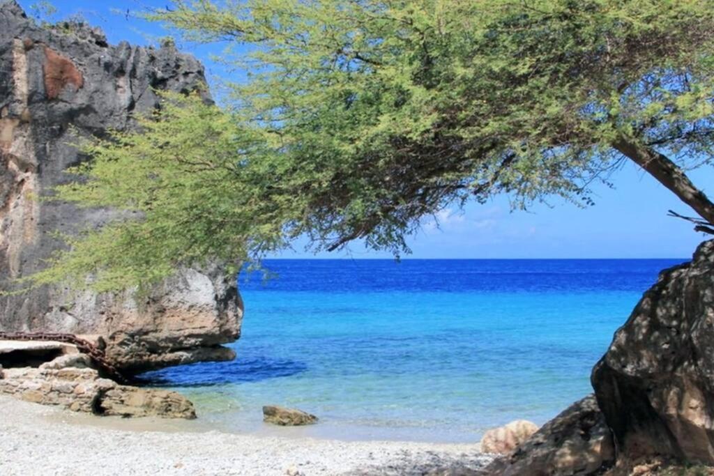 Newvilla-coral Estate-walktobeach-private Pool-up To 16 Guests Seaview Villa Willibrordus