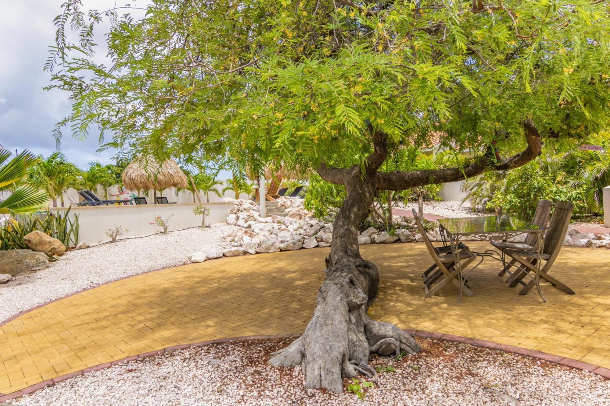 Abc Curacao * Willemstad