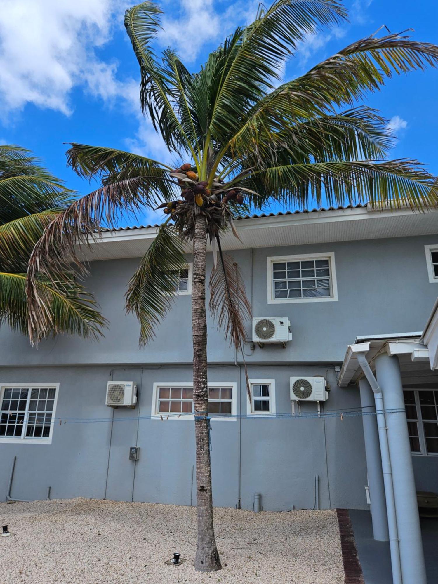 Raven's Paradise Appartement Willemstad