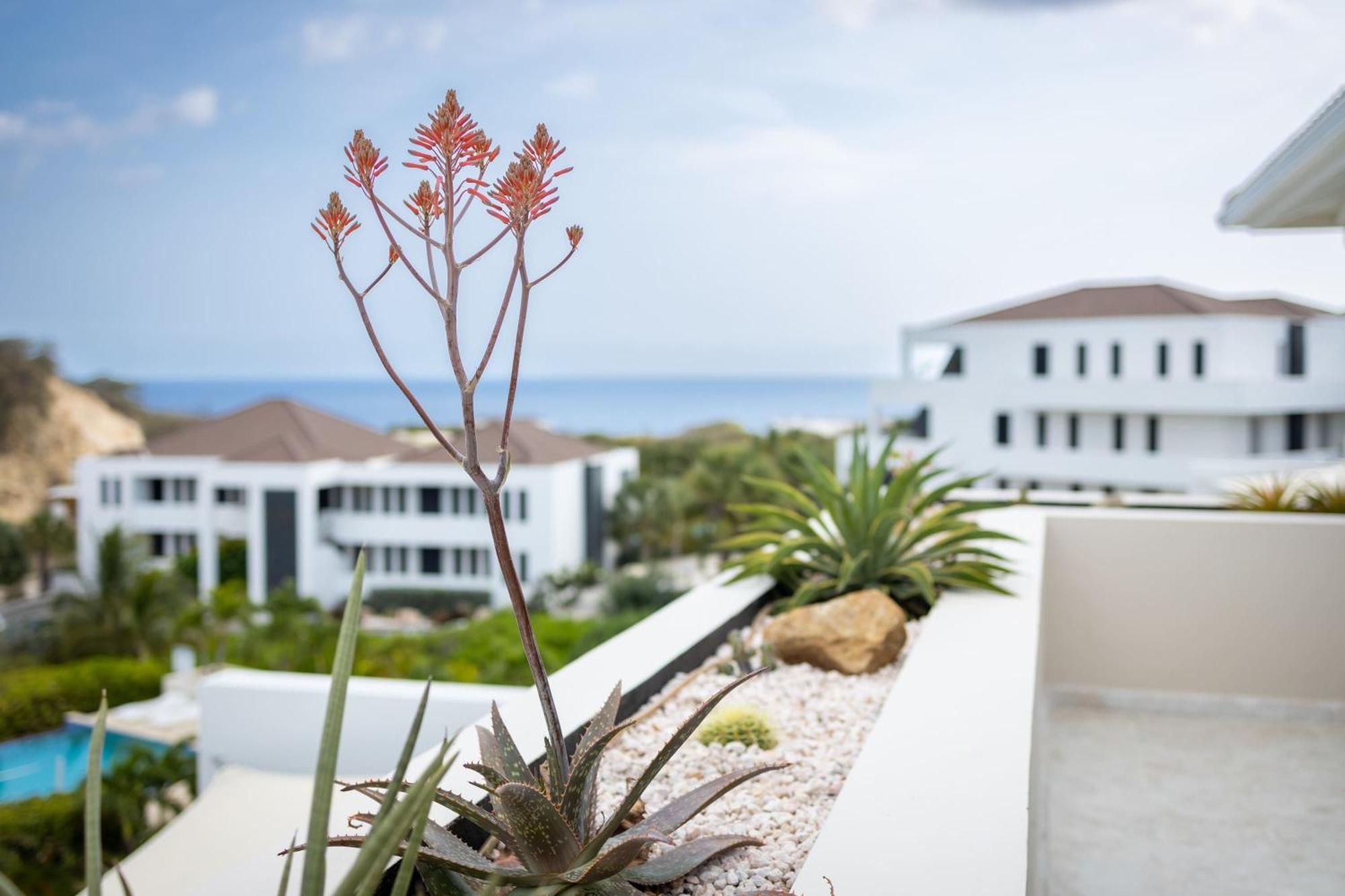 Sandcastles & Sunshine At Blue Bay Holiday home