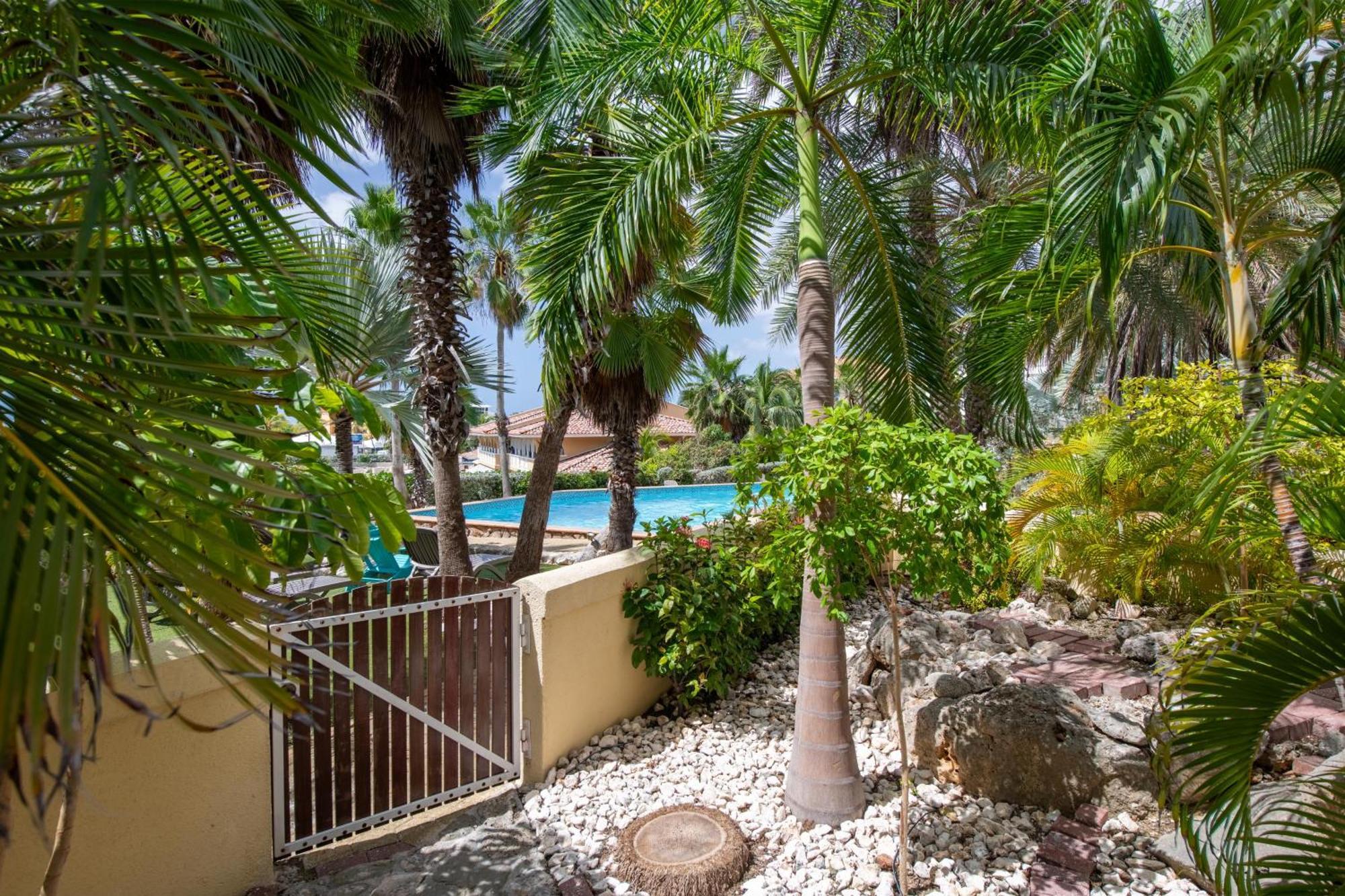Apartment Curacao Luxury Holiday Rentals Willemstad