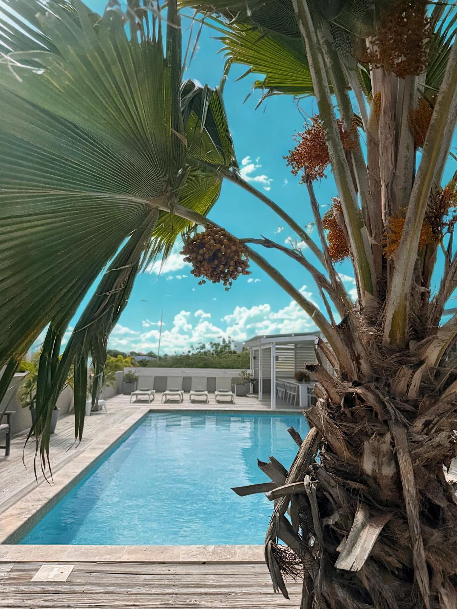 Boutique & Jt Curacao Willemstad