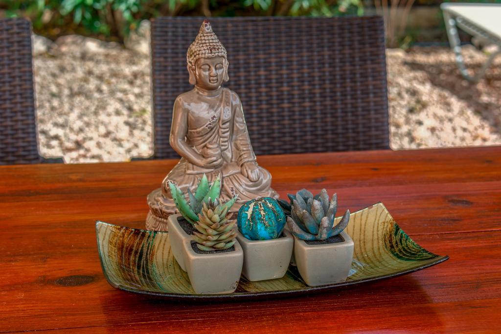 Apartment Buddha Garden Adult Only