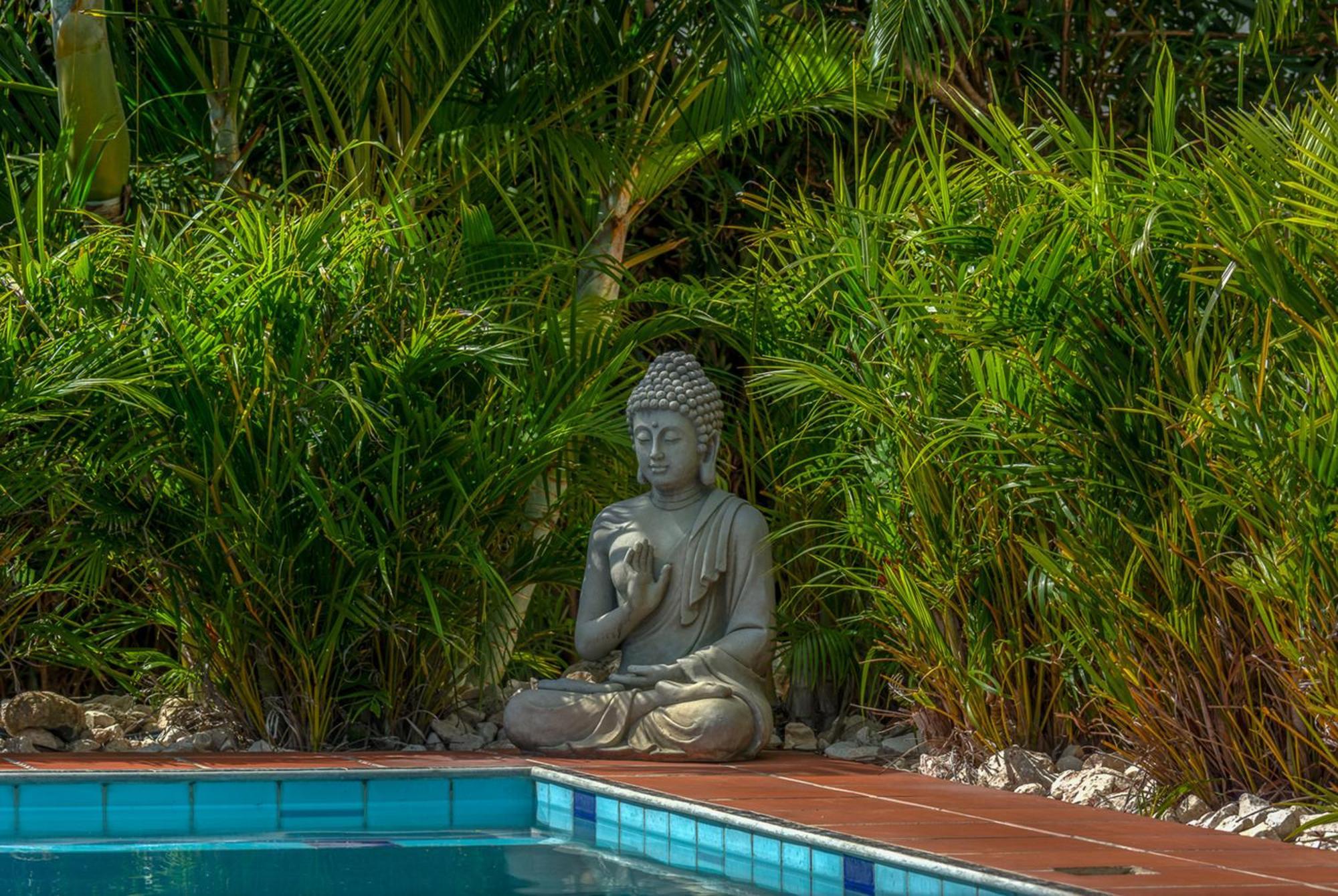 Buddha Garden Adult Only