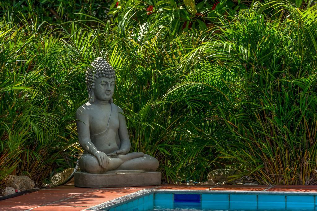 Apartment Buddha Garden Adult Only